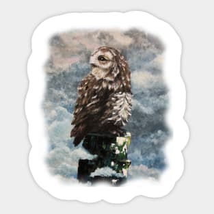 Owl - bird of prey, stunning art of Luna Smith Sticker